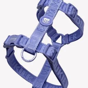 ARNÉS CLÁSICO PARA PERRO BLUEBERRY