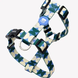 ARNÉS CLÁSICO PARA PERRO KALEIDO RETRO TIDE