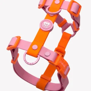 ARNES WATERPROOF PARA PERRO TANGERINE PINK