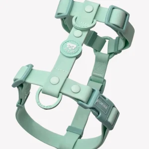ARNES WATERPROOF PARA PERRO TURQUOISE