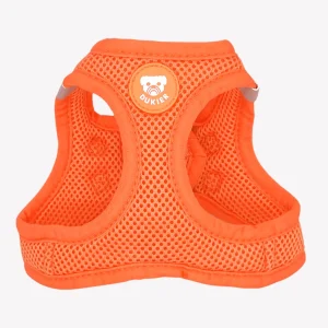 ARNÉS BODY PARA PERRO TANGERINE