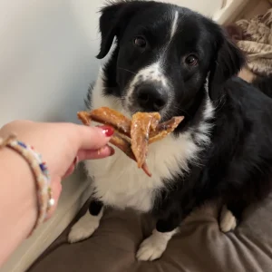 Ailes de Poulet Séchées - Mastication courte pour Chiens & Chats