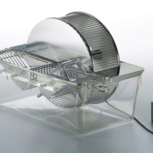 Cages rats ou souris avec roue d&rsquo;activité intégrée